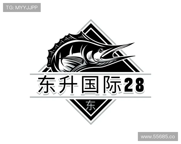 导引东升国际28